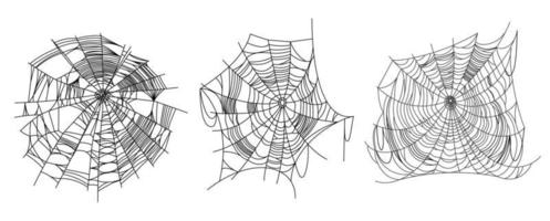 partes de la tela de araña vector