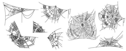 partes de la tela de araña vector