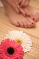 female feet and hands at spa salon photo