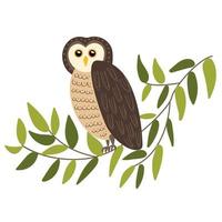 The owl sits on a branch. Vector element isolated on white background