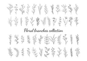 Set of botanical line art floral leaves, plants. Hand drawn sketch branches isolated on white background. Vector illustration