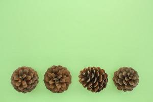 Pine fir cones of coniferous tree isolated on green background. Creative christmas holiday composition. Decoration for postcard. Top view, copy space, flat lay, close up photo