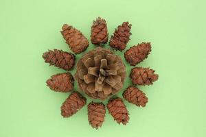 Pine fir cedar cones of coniferous tree isolated on green background. Round nature wreath. Creative christmas holiday composition. Decoration for postcard. Top view, copy space, flat lay, close up photo