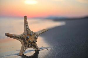summer beach sunset with star on beach photo