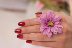 dedos de mujer con manicura francesa foto