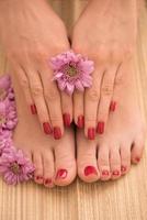 female feet and hands at spa salon photo