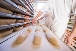 bakers preparing the dough photo