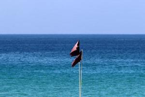 Flag in a city park on the Mediterranean coast in Israel. photo