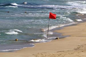 Flag in a city park on the Mediterranean coast in Israel. photo