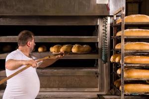 trabajador de panadería sacando panes recién horneados foto