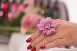 dedos de mujer con manicura francesa foto