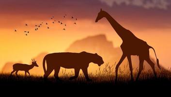 día mundial de la vida silvestre grupos de bestias salvajes se reunieron en grandes manadas en el campo abierto por la noche cuando brillaba el sol dorado. foto