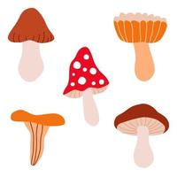 Set doodle mushrooms. Cute childish elements. Design for poster, card, bag and t-shirt, cover. Baby style. Vector cartoon illustration.