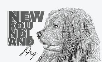 hand drawn illustration with newfoundland dog abstract brush vector