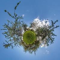 tiny planet transformation of spherical panorama 360 degrees. Spherical abstract aerial view on green maple forest. Curvature of space. photo