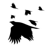 Silhouette of a flock of flying crows. Isolated on a white background. Great for Halloween themed posters. Vector illustration