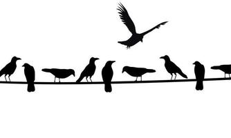 Silhouette of a group of crows perched on a cable. Isolated on a white background. Great for helloween posters. Vector illustration