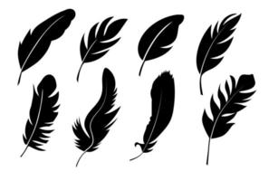 black silhouettes of bird feather vector