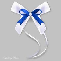 Gift blue white silk bow vector
