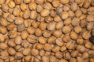 Evenly distributed walnuts fill the frame as a background photo