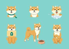Seth shiba inu puppy different poses emotions. Vector illustration flat hand-drawn style