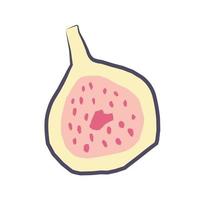 Bright cute fig fruit sliced in a flat hand-drawn style. Vector element isolated on a white background