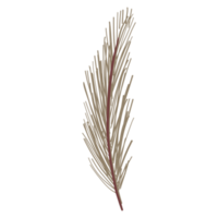 bloem en blad illustratie png