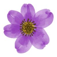 ilustración de flores y hojas png