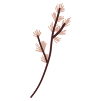 ilustración de flores y hojas png