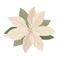 blomma och blad illustration png