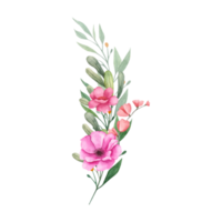 Flower and Leaf Illustration png