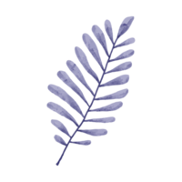 Flower and Leaf Illustration png