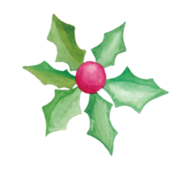 Flower and Leaf Illustration png