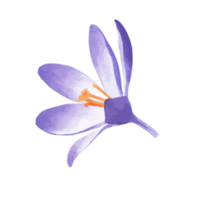 ilustração de flores e folhas png