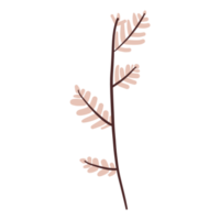 blomma och blad illustration png