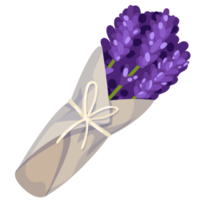 Flower and Leaf Illustration png