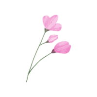 ilustração de flores e folhas png