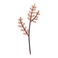 Flower and Leaf Illustration png