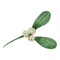 Flower and Leaf Illustration png