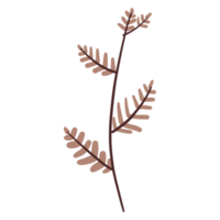 illustration de fleurs et de feuilles png