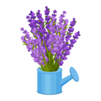 Flower and Leaf Illustration png