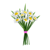 ilustración de flores y hojas png