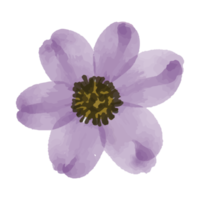 ilustração de flores e folhas png