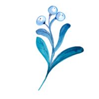 Flower and Leaf Illustration png