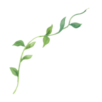 Flower and Leaf Illustration png