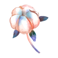 Flower and Leaf Illustration png