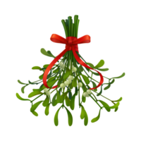 blumen- und blattillustration png