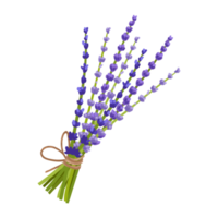 Flower and Leaf Illustration png