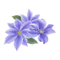 ilustração de flores e folhas png