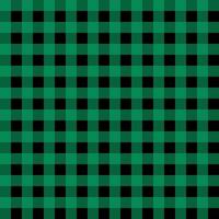 Buffalo plaid green background photo